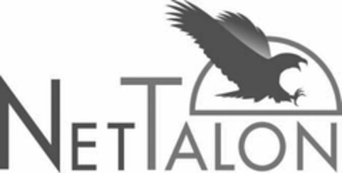 NETTALON Logo (USPTO, 08/30/2011)