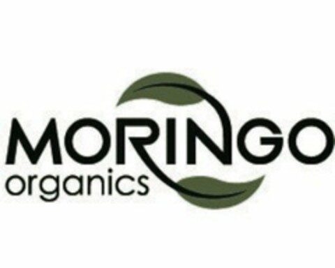 MORINGO ORGANICS Logo (USPTO, 09/03/2013)