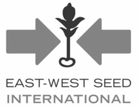 EAST-WEST SEED INTERNATIONAL Logo (USPTO, 06/19/2014)