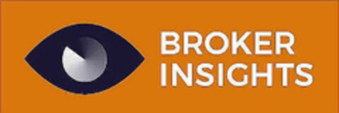 BROKER INSIGHTS Logo (USPTO, 30.05.2018)