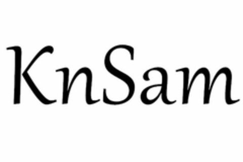 KNSAM Logo (USPTO, 19.09.2019)