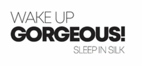 WAKE UP GORGEOUS! SLEEP IN SILK Logo (USPTO, 06/13/2020)