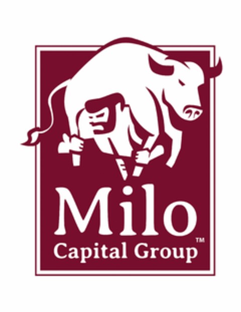 "MILO CAPITAL GROUP" Logo (USPTO, 18.05.2012)