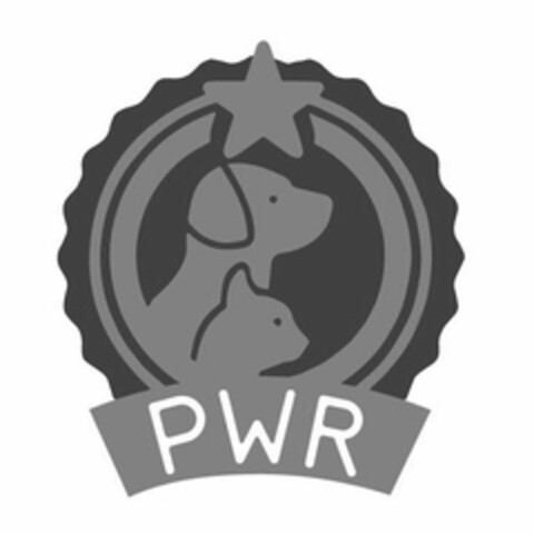 PWR Logo (USPTO, 11.08.2015)