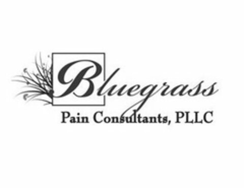 BLUEGRASS PAIN CONSULTANTS, PLLC Logo (USPTO, 17.04.2017)