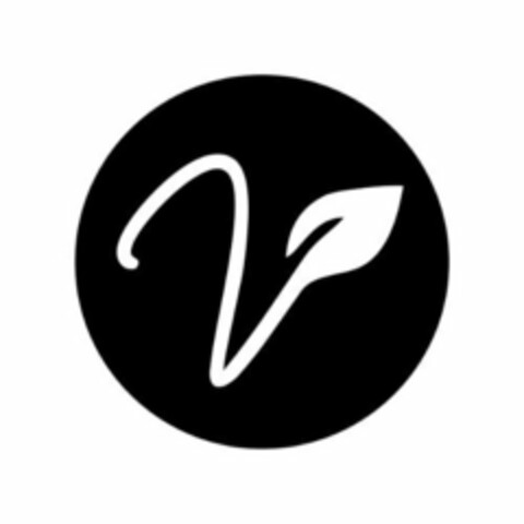 V Logo (USPTO, 02.08.2019)