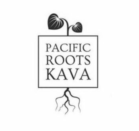 PACIFIC ROOTS KAVA Logo (USPTO, 10.09.2019)