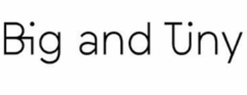 BIG AND TINY Logo (USPTO, 17.10.2019)