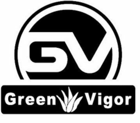 GV GREEN VIGOR Logo (USPTO, 18.12.2019)
