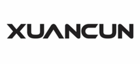 XUANCUN Logo (USPTO, 06/05/2020)