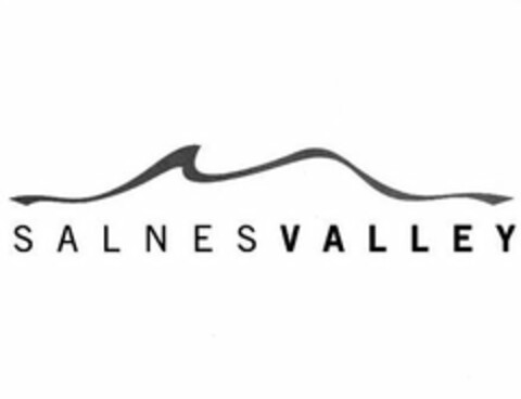 SALNES VALLEY Logo (USPTO, 01.07.2009)