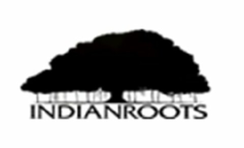 INDIANROOTS Logo (USPTO, 06/19/2013)