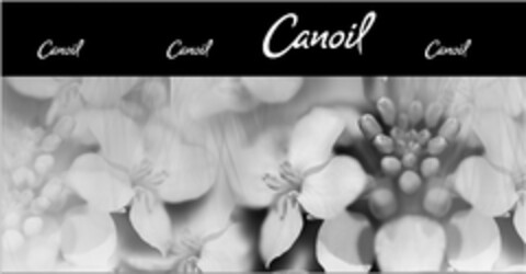 CANOIL Logo (USPTO, 05/20/2014)