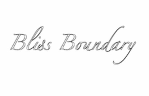 BLISS BOUNDARY Logo (USPTO, 18.01.2017)