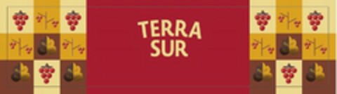 TERRA SUR Logo (USPTO, 04.09.2018)