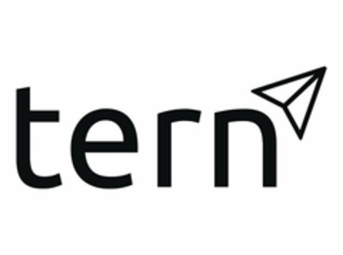 TERN Logo (USPTO, 23.07.2019)
