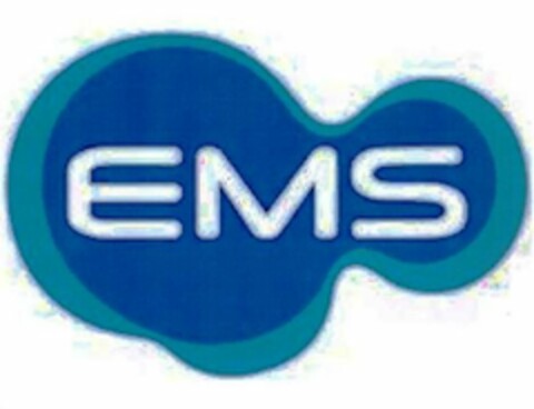 EMS Logo (USPTO, 23.06.2011)