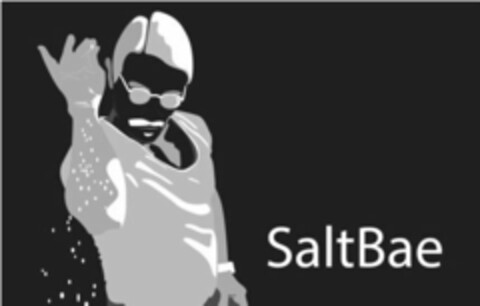 SALTBAE Logo (USPTO, 30.01.2017)