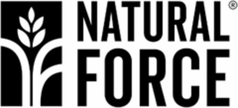 NF NATURAL FORCE Logo (USPTO, 02/02/2018)