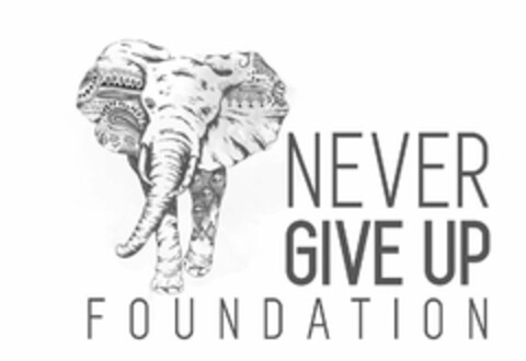 NEVER GIVE UP FOUNDATION Logo (USPTO, 06.12.2018)