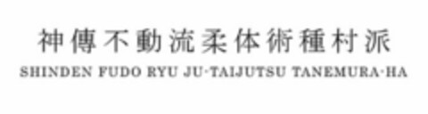 SHINDEN FUDO RYU JU-TAIJUTSU TANEMURA-HA Logo (USPTO, 03/11/2020)