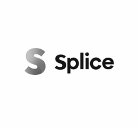 S SPLICE Logo (USPTO, 24.03.2020)