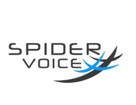 SPIDER VOICE Logo (USPTO, 19.11.2018)