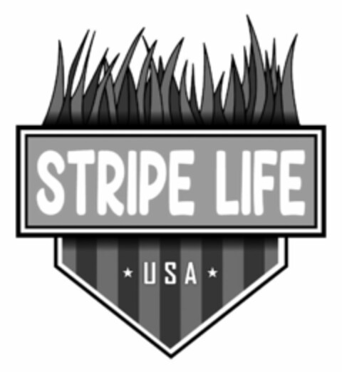 STRIPE LIFE USA Logo (USPTO, 24.05.2020)