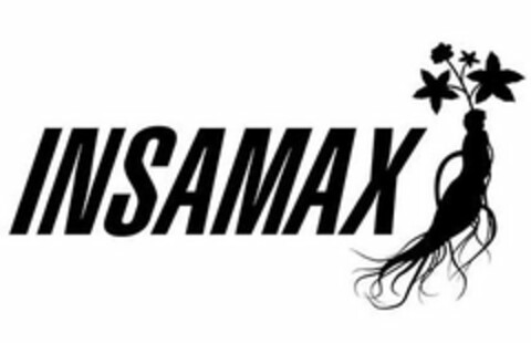 INSAMAX Logo (USPTO, 05.06.2018)