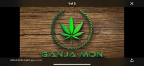 GANJA MON Logo (USPTO, 12/30/2018)