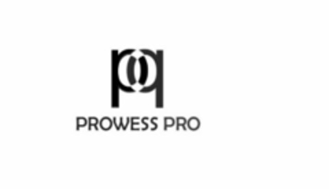 PP PROWESS PRO Logo (USPTO, 09.07.2019)
