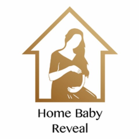 HOME BABY REVEAL Logo (USPTO, 04.08.2020)