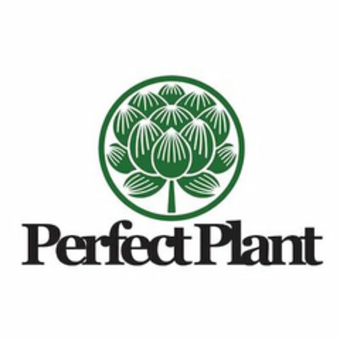 PERFECT PLANT Logo (USPTO, 13.08.2020)