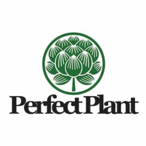 PERFECT PLANT Logo (USPTO, 08/13/2020)