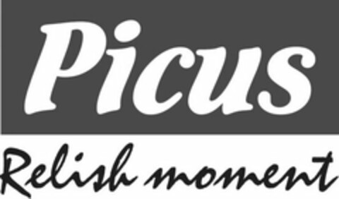 PICUS RELISH MOMENT Logo (USPTO, 18.04.2017)
