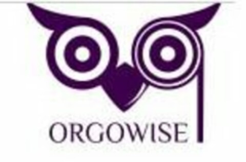 ORGOWISE Logo (USPTO, 29.10.2019)