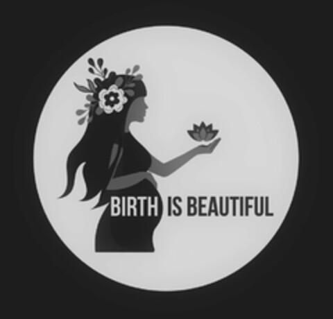 BIRTH IS BEAUTIFUL Logo (USPTO, 28.01.2020)