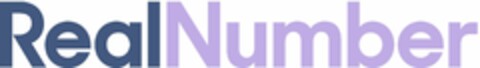 REALNUMBER Logo (USPTO, 24.03.2020)
