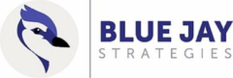 BLUE JAY STRATEGIES Logo (USPTO, 25.03.2020)