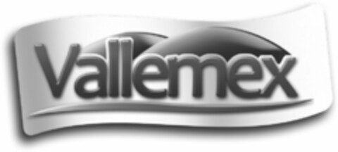 VALLEMEX Logo (USPTO, 15.01.2010)