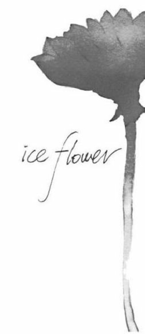 ICE FLOWER Logo (USPTO, 15.06.2010)