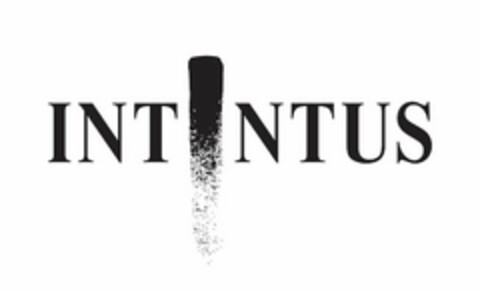 INTINTUS Logo (USPTO, 02.04.2019)