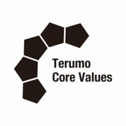 TERUMO CORE VALUES Logo (USPTO, 21.06.2019)