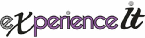 EXPERIENCE IT Logo (USPTO, 14.01.2010)