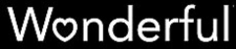 WONDERFUL Logo (USPTO, 02/28/2011)