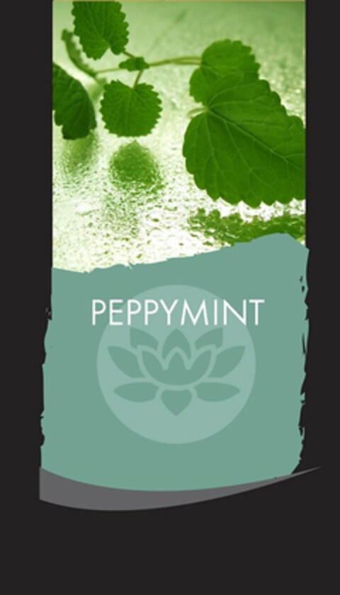 PEPPYMINT Logo (USPTO, 29.06.2011)