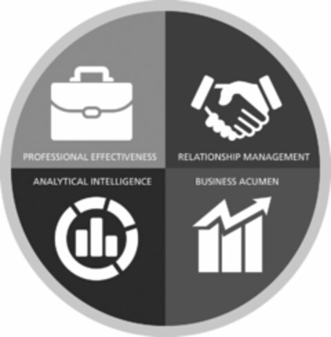 PROFESSIONAL EFFECTIVENESS RELATIONSHIPMANAGEMENT ANALYTICAL INTELLIGENCE BUSINESS ACUMEN Logo (USPTO, 04.03.2016)