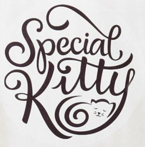 SPECIAL KITTY Logo (USPTO, 14.06.2019)