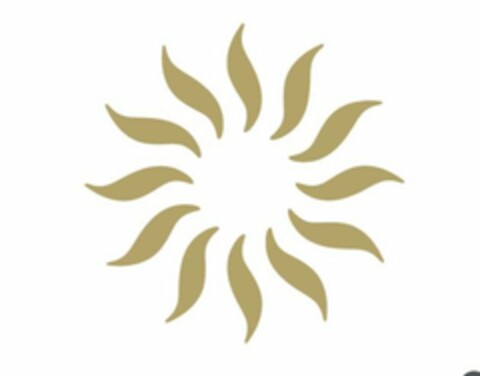  Logo (USPTO, 13.12.2019)