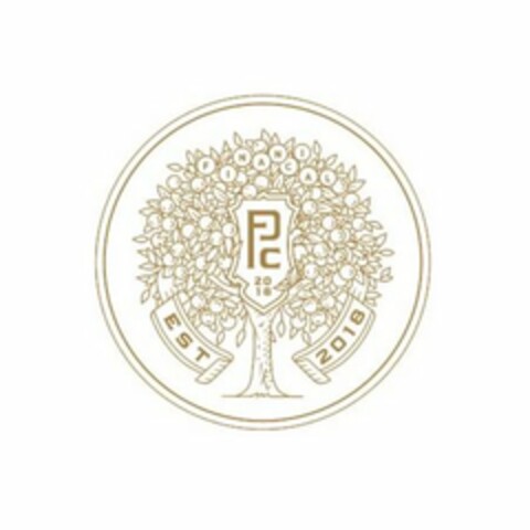 PFC 20 18 FINANCIAL EST 2018 Logo (USPTO, 27.01.2020)